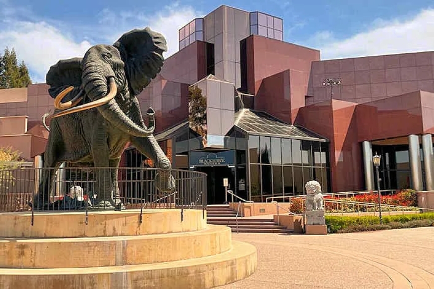 Your Trusted Blackhawk Plumber – Premium Plumbing Services for a Premium Community