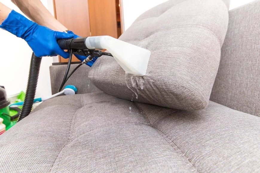 Upholstery Cleaning Services Columbia, SC