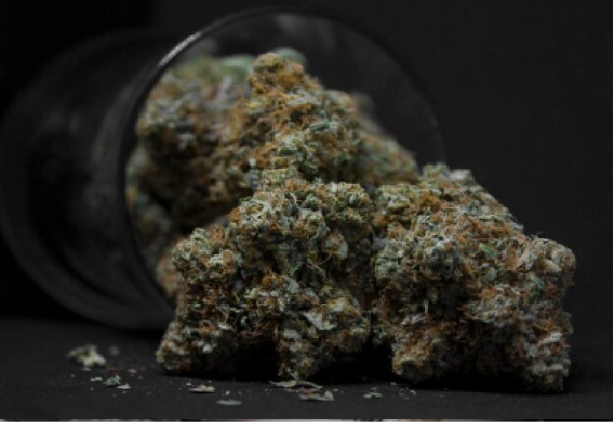 Moonrock Weed Guide: What Are Moon Rocks & Why Everyone Talks About Them