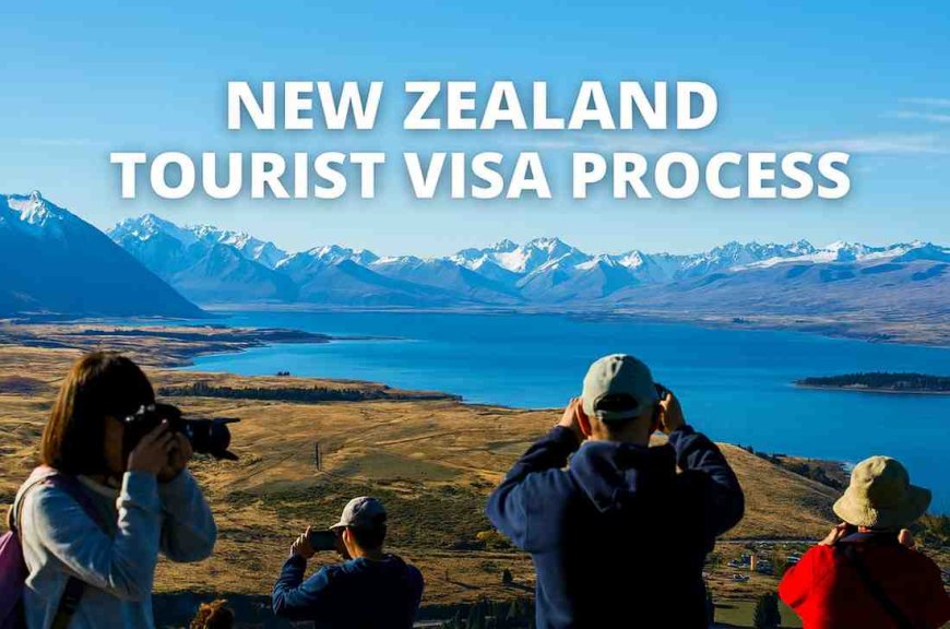 Understanding the New Zealand Tourist Visa Process