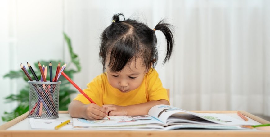 How Best Preschool Franchise in India Supports New Entrepreneurs with Comprehensive Training