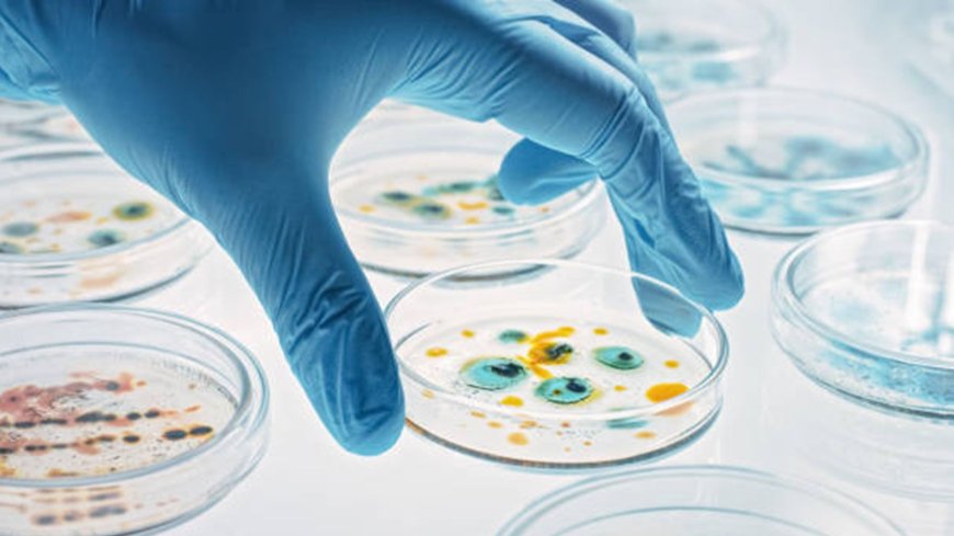 The Impact of Healthcare Technology Solutions on Global Health Trends