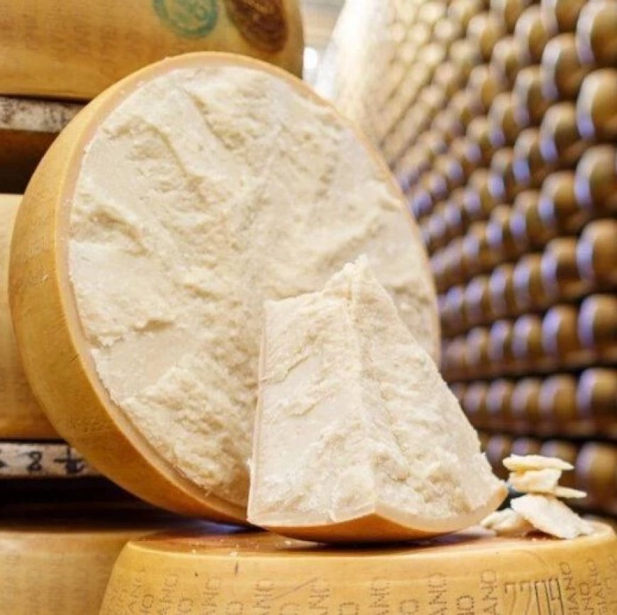 Where to Buy Parmigiano Reggiano and Grana Padano for Sale Online