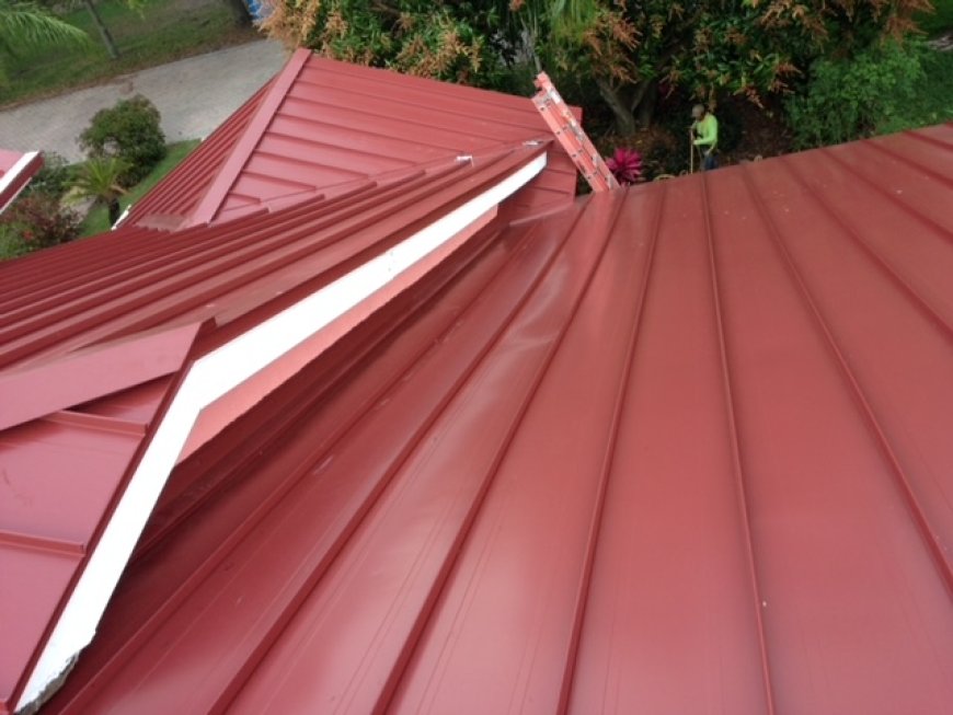 Expert Guide to Roof Repair and Tile Roofing in Tampa