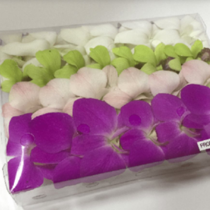 Loose Orchids for Sale: Bringing Glamour to Every Event