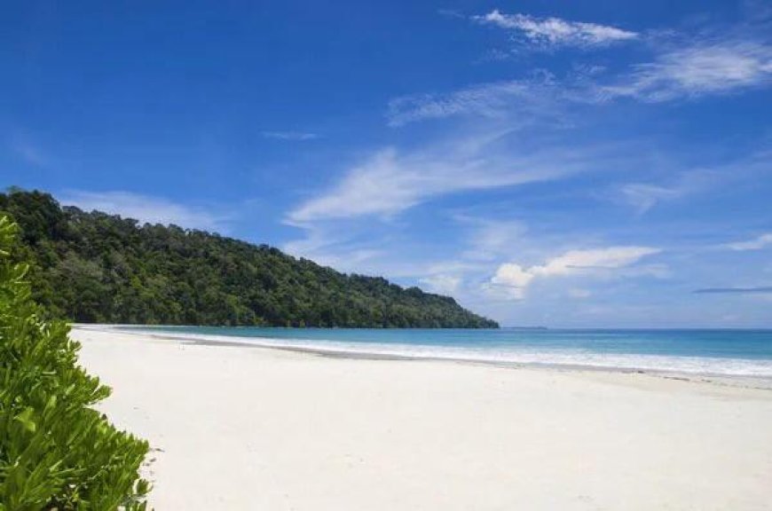 Best Andaman Tour Packages for an Unforgettable Holiday