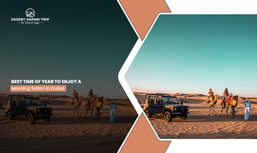 Best Time of Year to Enjoy a Morning Safari in Dubai