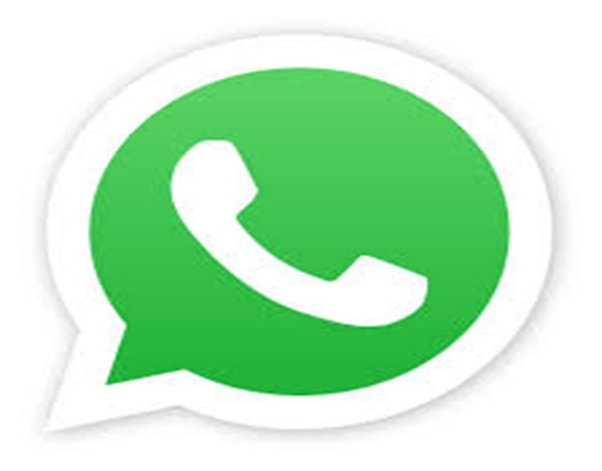 How to Get an Online Cricket ID WhatsApp Number Easily
