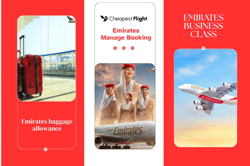 What Are the Benefits of Cabin Crew on Emirates?
