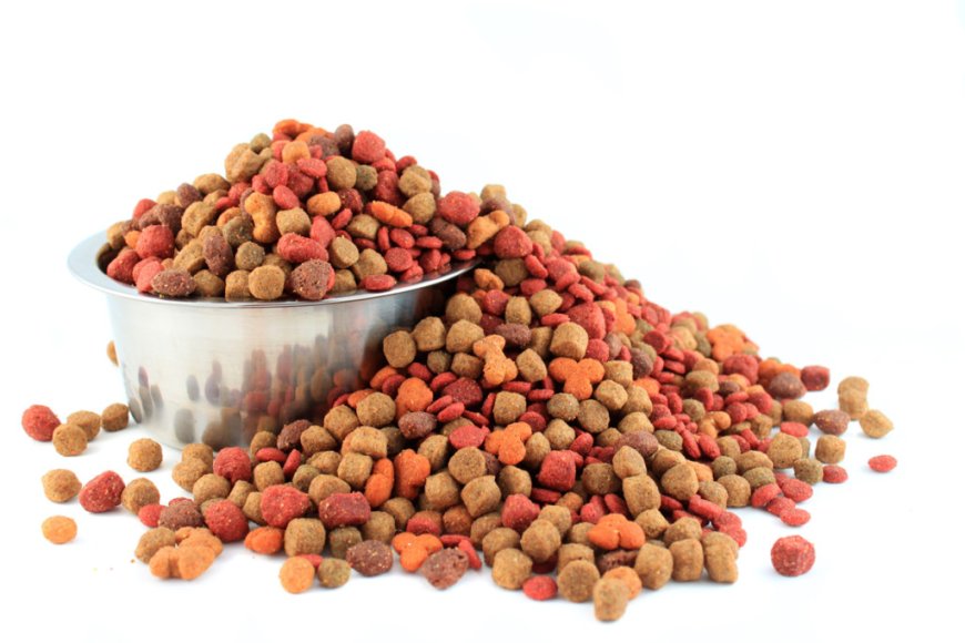 Report on Dog Food Manufacturing Plant- Detailed Process Flow