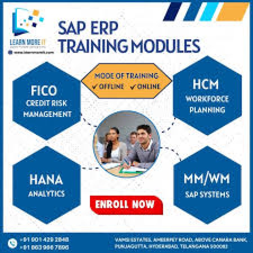 S.A.P fico institute in Ameerpet