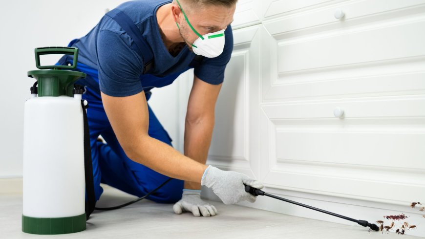 How Often Should Your Business Book Pest Control Services?