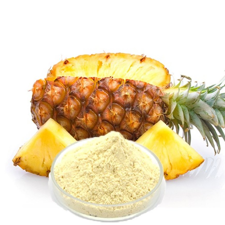 Capital Costs Involved in Setting Up a Bromelain Enzyme Manufacturing Plant