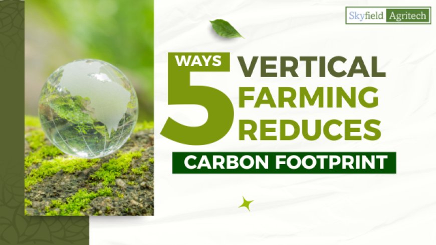5 Ways Vertical Farming Reduces Carbon Footprint