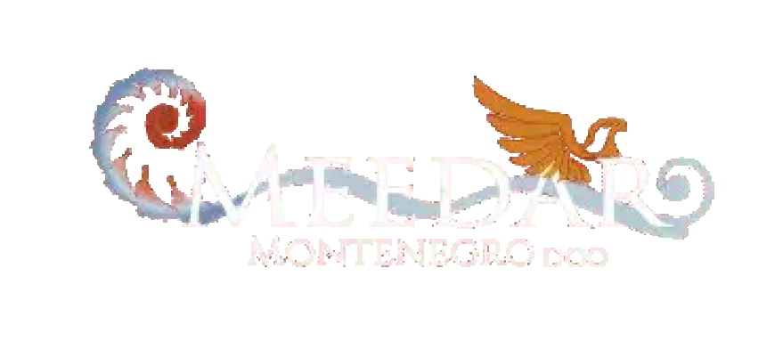 Discover the Ultimate Coastal Experience in Montenegro with Meedar