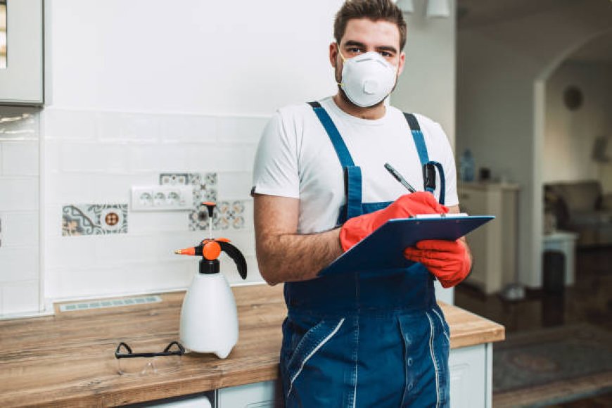 How Lawn Pests Control Services Can Save Your Lawn from Damage