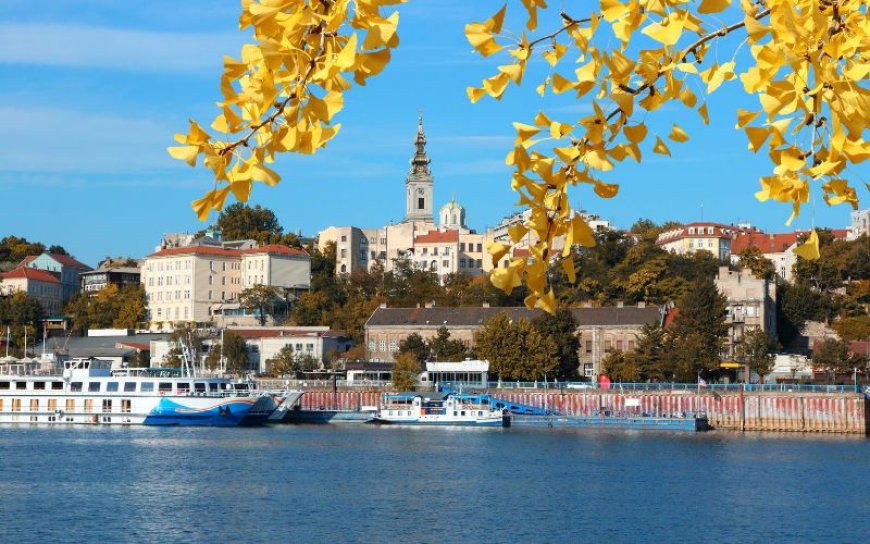 أفضل 10 أنشطة شتوية عائلية في صربيا