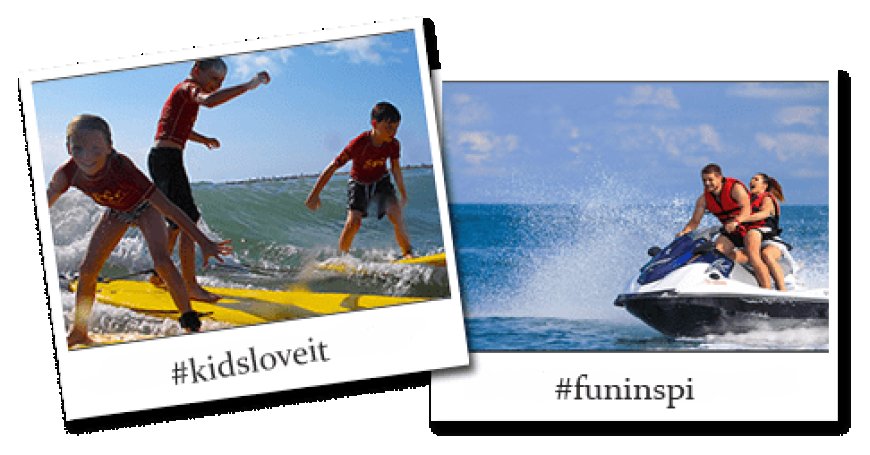 Waves, Wildlife, and Wonder: What to Do on South Padre