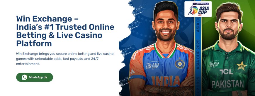 Gold365.com 🔑 vs Win Exchange: What Indian Bettors Need to Know Before Signing Up