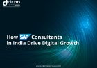 Expert SAP Consultants in India | Denpro Group