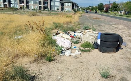 Junk Removal in Denver - How Can You Manage Costs Without Sacrificing Quality?