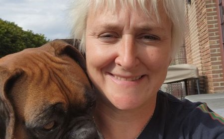 Understanding Your Pet: The Benefits of Dog Behaviour Consulting