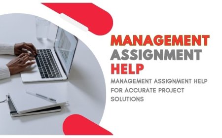 Management Assignment Help for Accurate Project Solutions