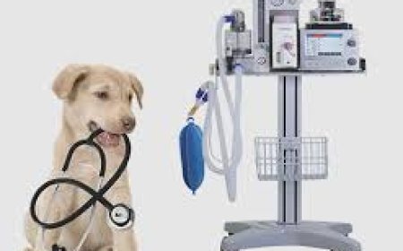 Best Place to Buy Veterinary Devices