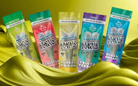 Top Bomb Bar THCA Products for a Premium Cannabis Experience