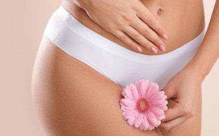 Best Doctors in Dubai for Natural-Looking Vaginal Fillers