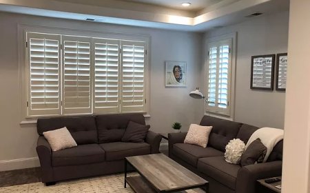 Transform Your Home with Professional and Affordable Painters