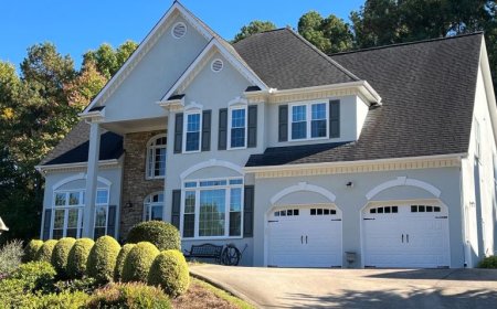 Let Color Breathe Life Into Your Space with Expert Brushwork