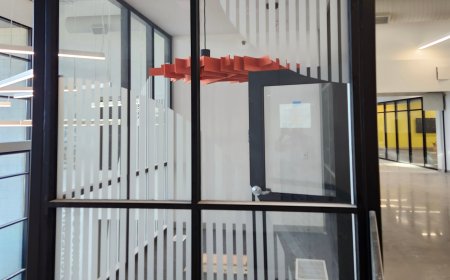 Stand Out & Stay Connected: Displays, Windows & Mail Services in Alexandria