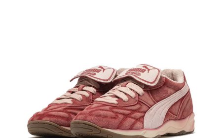 Why Everyone Is Obsessed With Panda Dunks Right Now