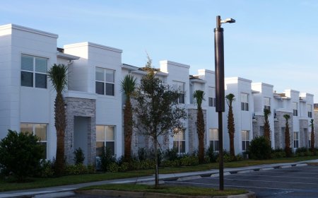 Bright Nights & Lower Bills: The RoI Of Affordable Solar Lighting Solutions