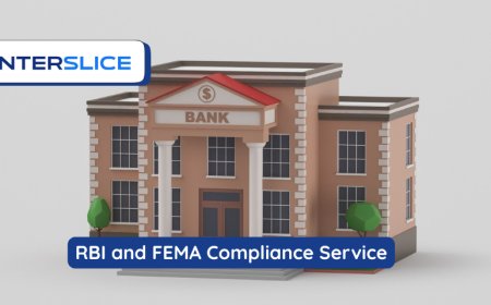 RBI and FEMA Compliance Service