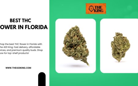 Best THC Flower in Florida – The 420 King’s Premium Selection