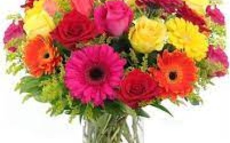 Bringing Green Indoors House Plants in Pittsburgh with Roots to Petals