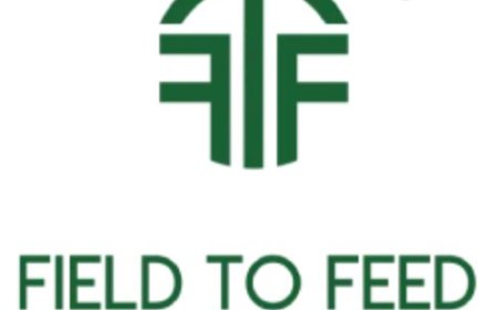 Top Dry Fruits Exporters in India – Boosting Global Nutrition with Premium Quality Products