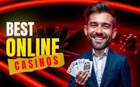 Live Dealer Casinos: The Ultimate Real-Time Experience