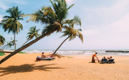 Hiking in Sri Lanka: Best Trails and Mountain Views