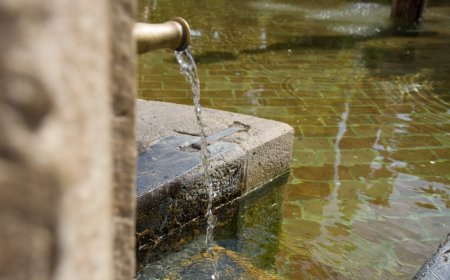 Understanding Basement Waterproofing Cost