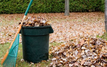 Autumn’s Quiet Power: Why Everett’s Smartest Yards Start with Leaf Clean-up
