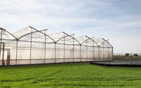 What Is Plastic UV Protection and Why Does It Matter for Greenhouses in 2025?