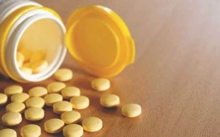 Detailed Project Report on Vitamin B12 Manufacturing Plant: Business Plan and Requirements