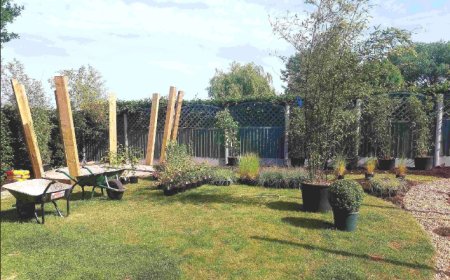 Landscape Gardeners Sandbach – Professional Garden Design, Paving & Lawn Services You Can Trust