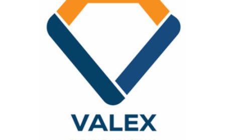 Discover the Best Franchise Business Opportunities in UK with Valex Ventures