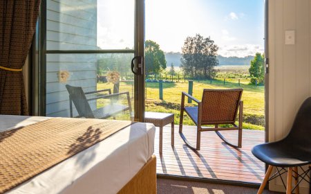 Top Brisbane Accommodation Choices for Wine Lovers Including Brisbane B&B and Winery Stays