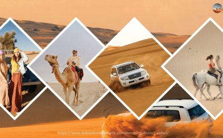 Unforgettable Morning Desert Safari – Top 10 Reasons