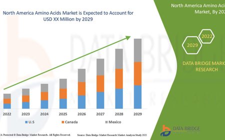 North America Amino Acids Market Market Growth Analysis and Future Opportunities Worldwide